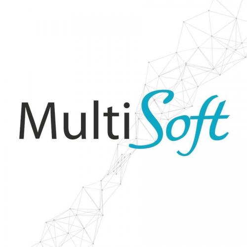 ERP implementation – MultiSoft Kft